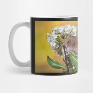 Cute Harvest Mouse Mug